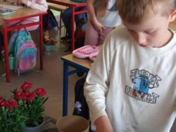 50031550411671296318816504183811373320268151n